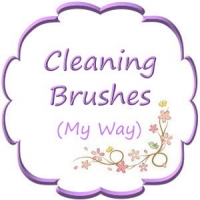 Cleaning Brushes - My Way