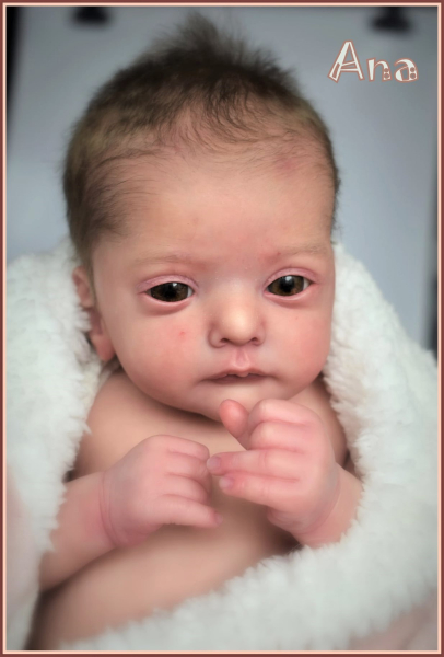 Kit bébé Reborn Mila de Gudrun Legler - Baby Creation Reborn