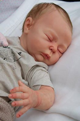 adrie stoete reborn