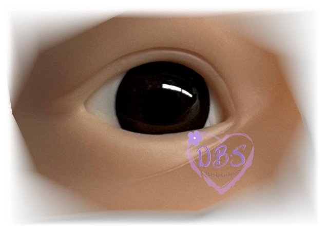 Pabol Glass Lifelike Eyes - 4 Sizes Available