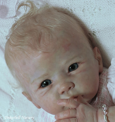 tinkerbell reborn kits