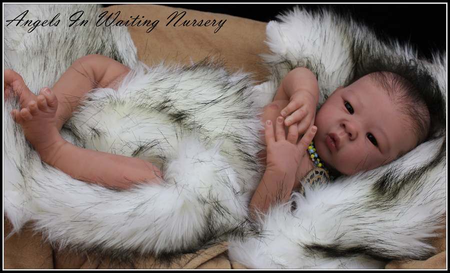 REAL Reborn Native American EBook