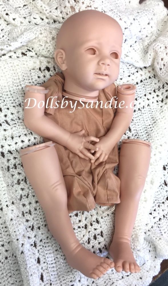 reborn fritzi karola wegerich