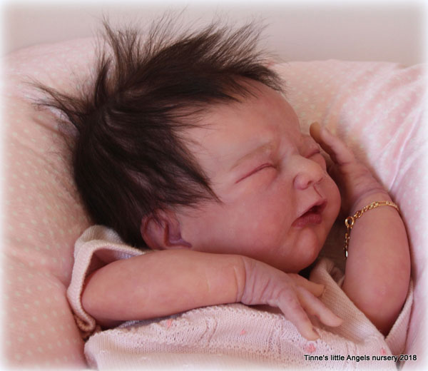 los reborn de lucia