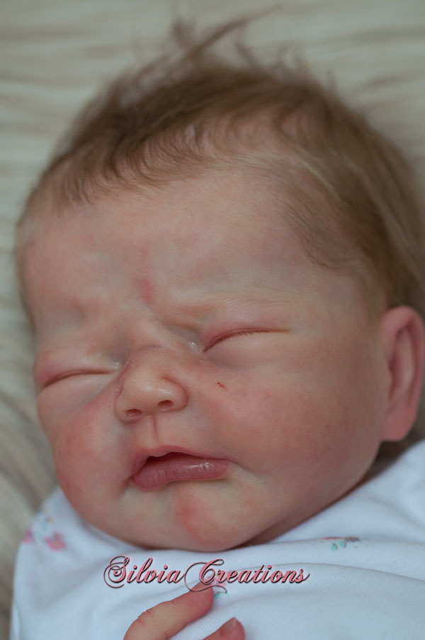 lucia reborn kit
