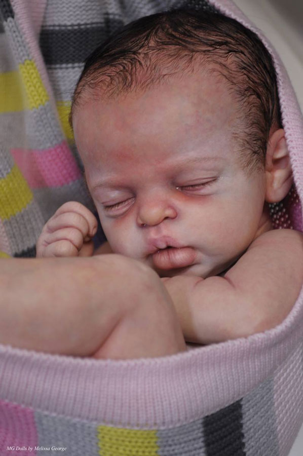 mini reborn dolls