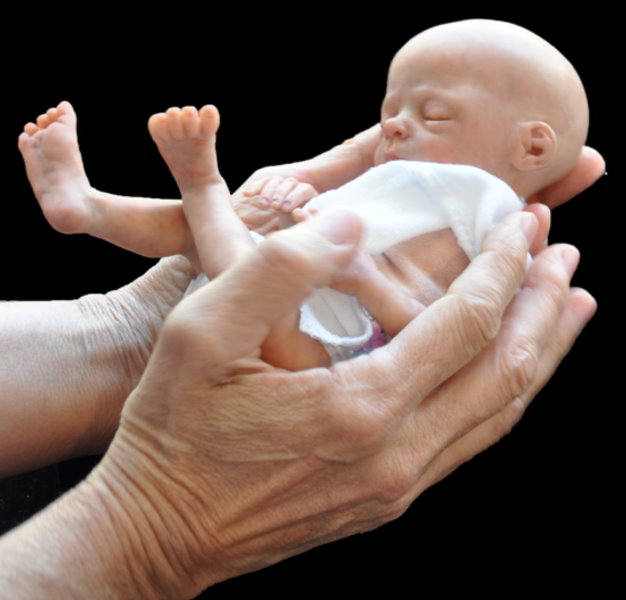 mini reborn baby