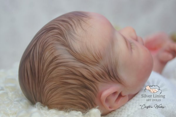 3d reborn hair painting top