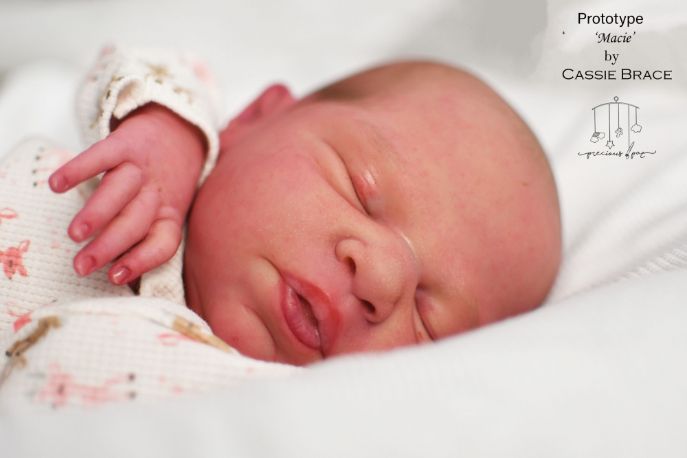 reborn macie