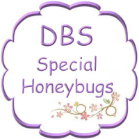DBS Special Honeybug Pacifiers