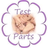 Practice Test Parts 