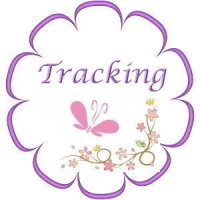 Tracking an Order